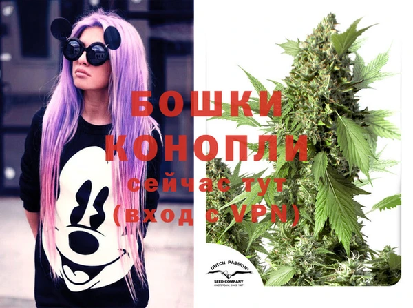дмт Баксан