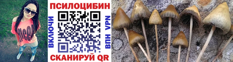 где продают наркотики Белорецк Псилоцибиновые грибы мухоморы